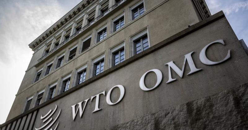СОТ підвищила свої прогнози щодо глобальної торгівлі на 2025 рік, що стало можливим завдяки впливу тарифів, запроваджених адміністрацією Трампа.