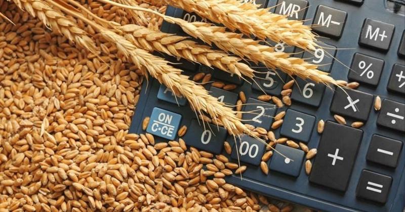 Опубліковані нові ціни на зернові культури в Україні.