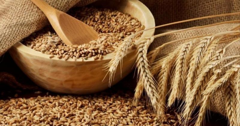 Сполучені Штати скоригували свої очікування щодо експорту української пшениці. ДИПЛОМАТИЧНА ІНФОГРАФІКА