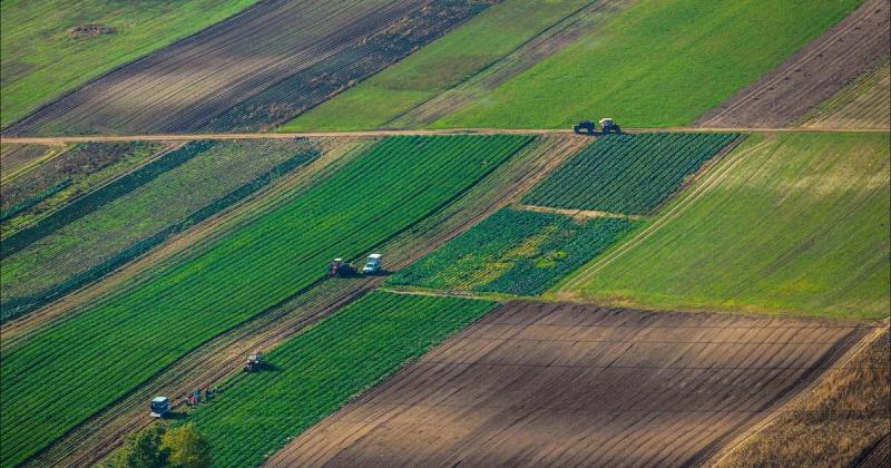 В Україні буде розроблено комплексну систему для моніторингу та обліку сільськогосподарських угідь.