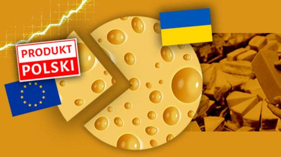 Польське вторгнення: як імпорт витіснив українські сири з магазинних вітрин