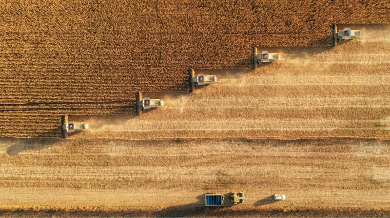 Відновлення імпортних квот на українську аграрну продукцію до Європейського Союзу: Шмигаль не вважає це ризиковим кроком.