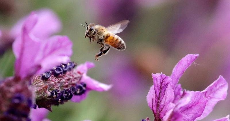 Астрологічний прогноз на 23 червня для всіх зодіакальних знаків: час, коли кожна мить на рахунку.