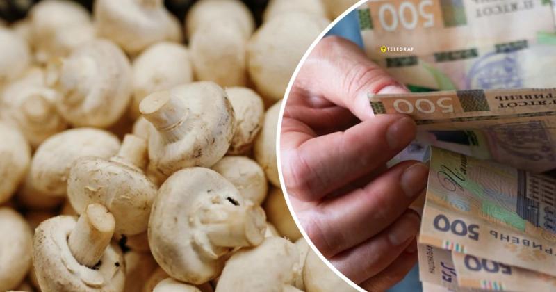 Вирощуй та реалізуй: як створити прибутковий бізнес на грибах.