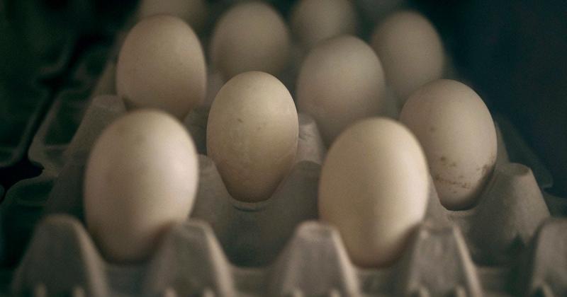 Чому зростають ціни на яйця: експерт висловив негативний прогноз щодо вартості.
