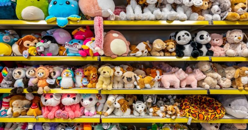 Штраф у розмірі близько 6 мільйонів гривень: у Києві та його околицях виявлено мережу магазинів, що торгують дитячими іграшками, які використовували 