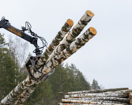 Деривативні угоди на Українській універсальній біржі - це потужний інструмент, який допомагає деревообробним підприємствам у забезпеченні необхідної сировини.