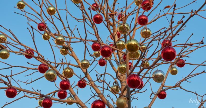 Астрологічний прогноз на 5 грудня для всіх знаків зодіаку: сьогодні слід уникати провокацій.