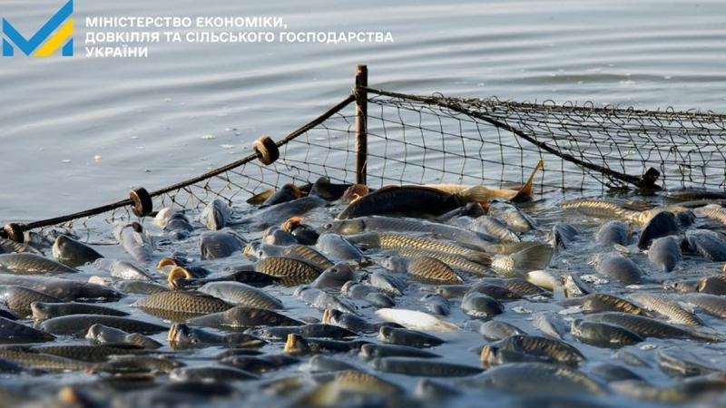 Уряд ввів систему електронного декларування для отримання дозволів на промисловий вилов риби.