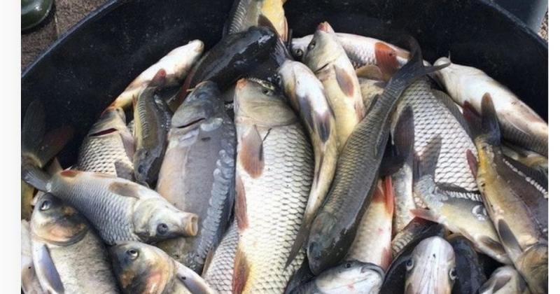 Колись покупки робилися імпульсивно: популярний товар в Україні швидко набирає в ціні.