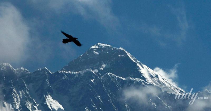 Які таємниці відкривають зірки: астрологічний прогноз на період з 9 по 15 лютого 2026 року.