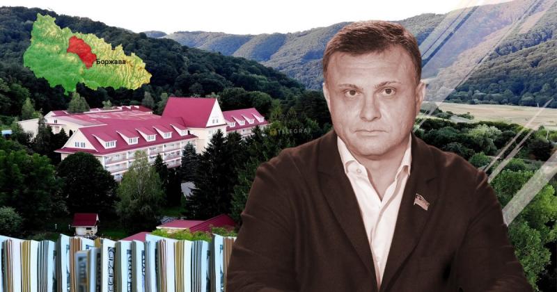 Льовочкіну не вдалося отримати контроль над лісами та луками в Карпатах: втручання АРМА стало вирішальним.