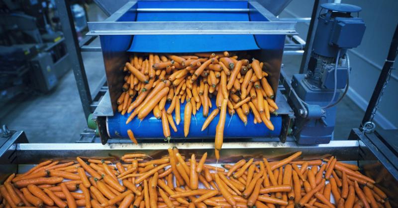 16 мільйонів гривень на відновлення: Кабінет Міністрів полегшив отримання державних грантів для підприємств переробної промисловості -- Delo.ua