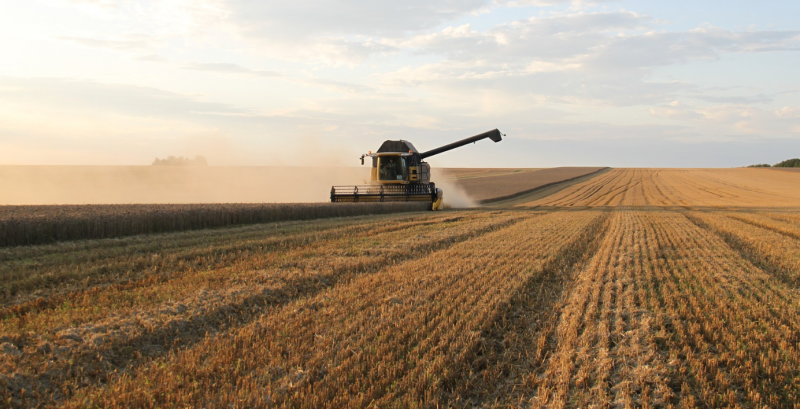 Більше 100 тисяч гривень для власників земельних ділянок: хто отримає значну підтримку?