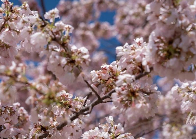 Квітень 2026 року: які зміни чекають на тарифи, фінансову підтримку переселенців та пенсійні виплати.