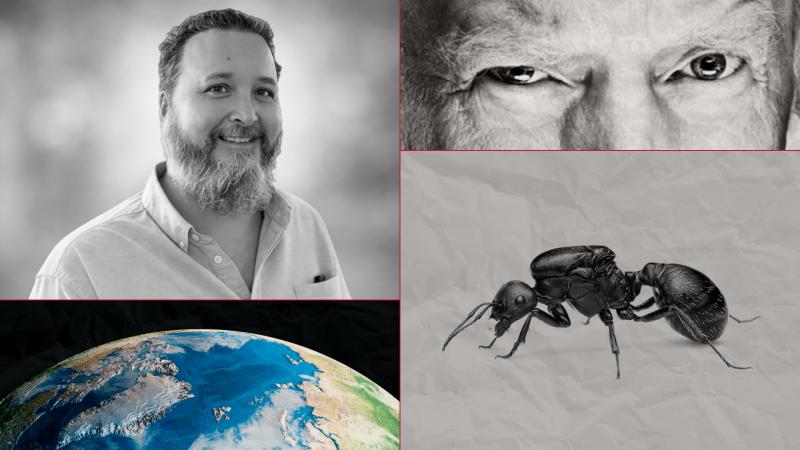 The most captivating tales. 04.04.2026