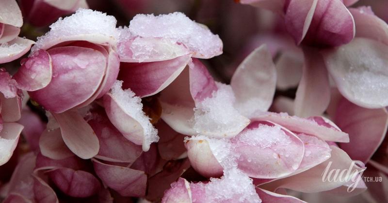 Які таємниці розкриють зірки: астрологічний прогноз на період з 13 по 19 квітня 2026 року.