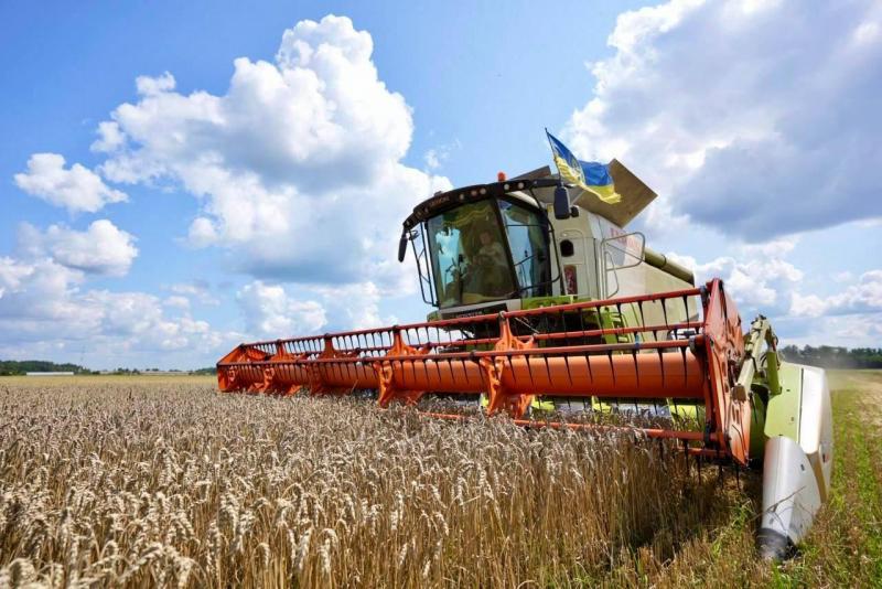 Безпека продовольства в Україні викликає серйозні занепокоєння: фахівці сигналізують про можливі ризики через певні фактори.