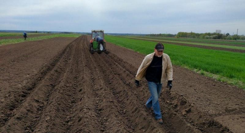 Гектари за золотими цінами: хто отримує вигоду від стрімкого підвищення вартості землі