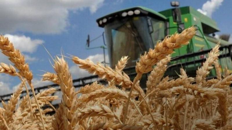 Російський безпілотник здійснив атаку на елеватор агрокомпанії 