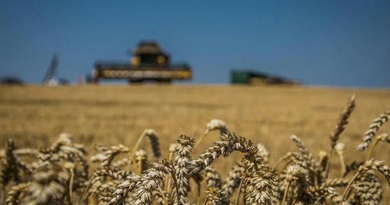 Уряд спростив вимоги до державних гарантій на кредити для аграрного сектора.