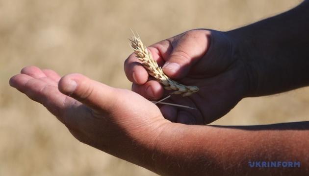 Уряд спростив умови кредитування для аграрного сектору та переробних підприємств, що працюють під державними гарантіями.